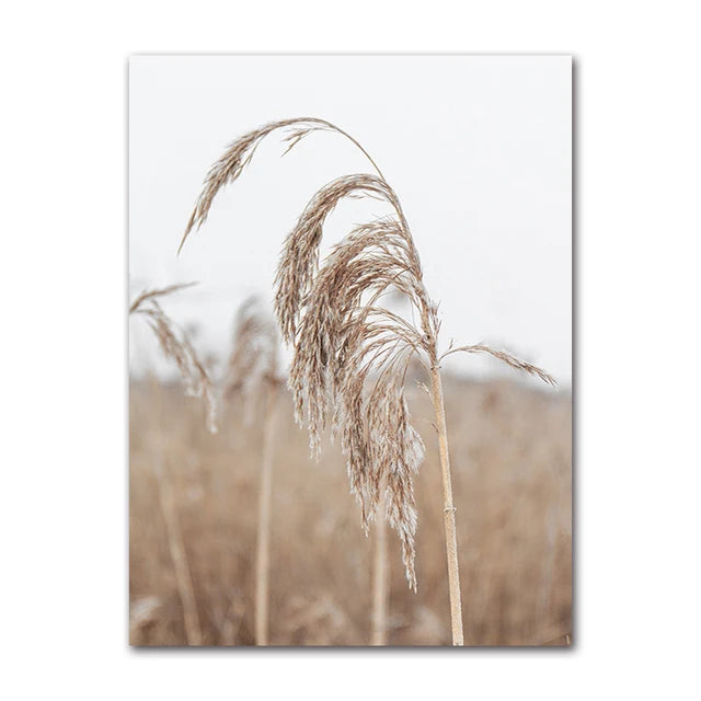 Sitka Beach Ocean Canvas & Nature