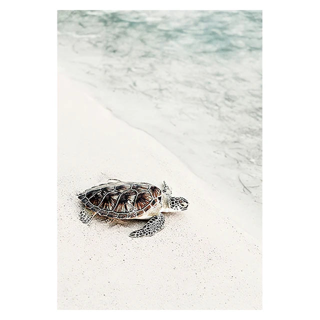 Sitka Beach Ocean Canvas & Nature