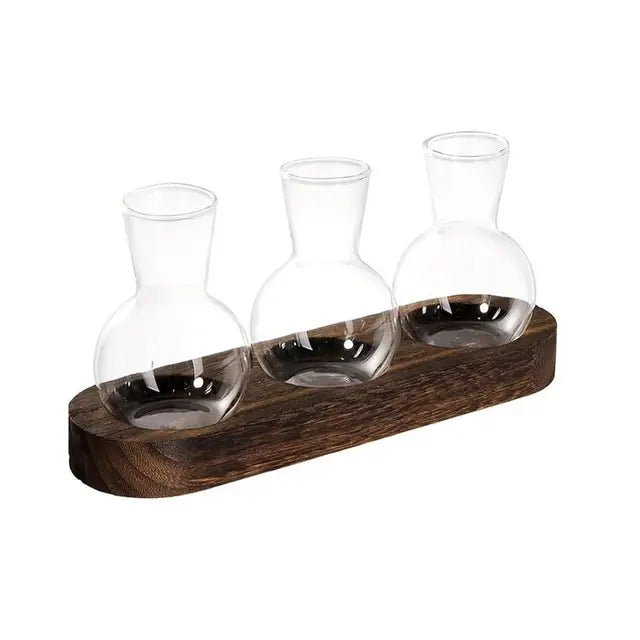 Cleveland Transparent Hydroponic Glass Vase