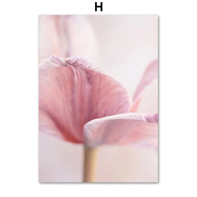 Lush Pink Rose & Orchid Garden Canvas Wall Art